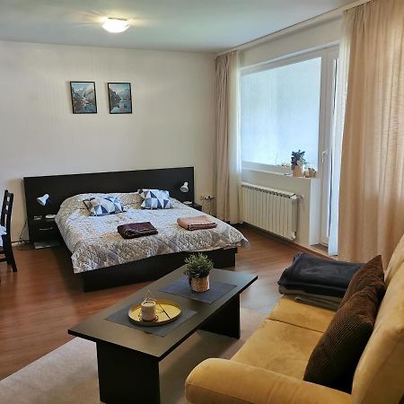 Sunny Studio Apartment - Few Steps From Gondola Банско Экстерьер фото