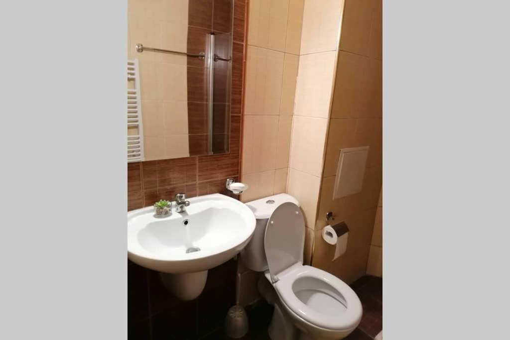 Sunny Studio Apartment - Few Steps From Gondola Банско Экстерьер фото