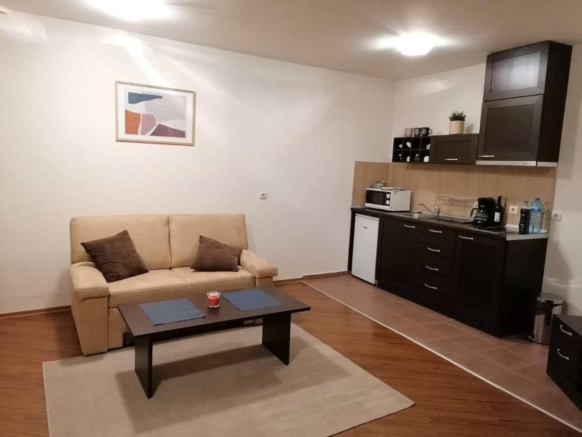 Sunny Studio Apartment - Few Steps From Gondola Банско Экстерьер фото