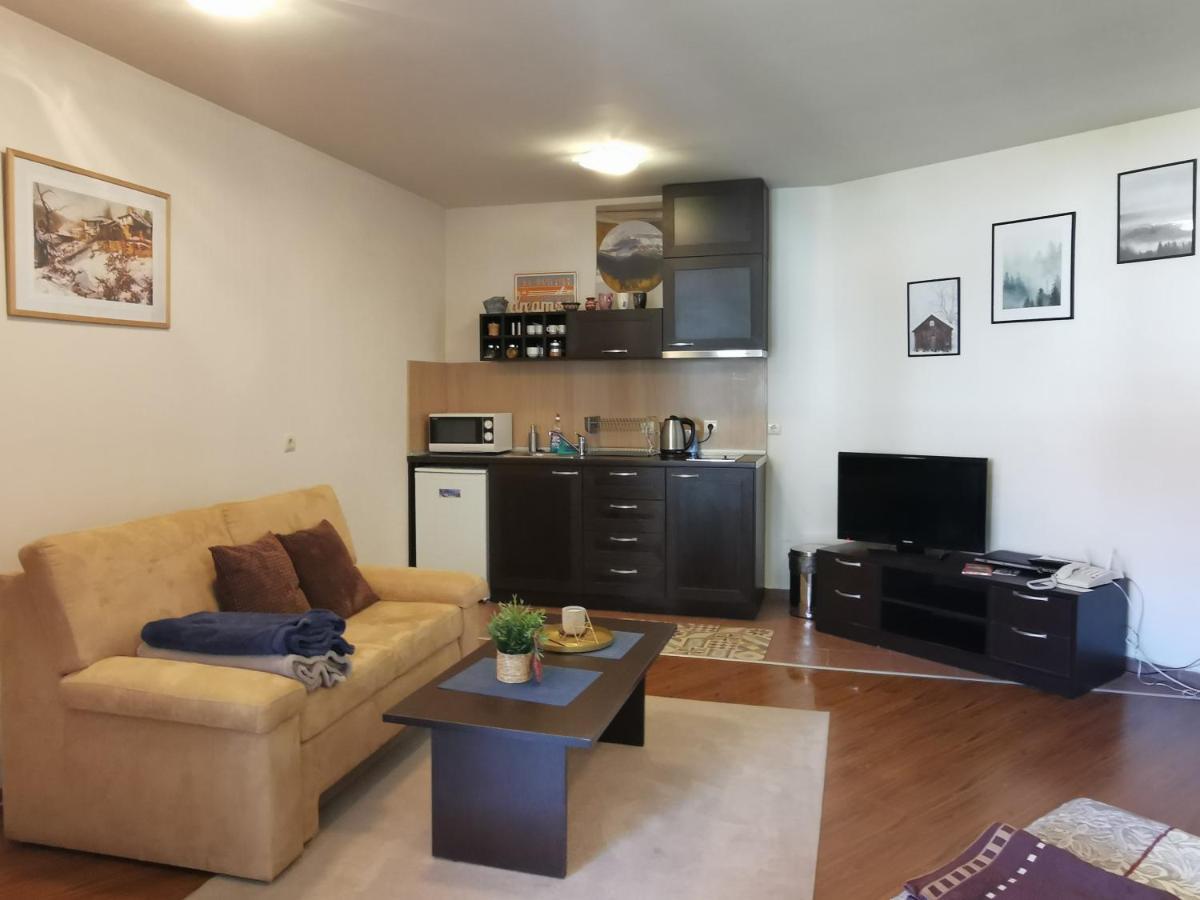 Sunny Studio Apartment - Few Steps From Gondola Банско Экстерьер фото