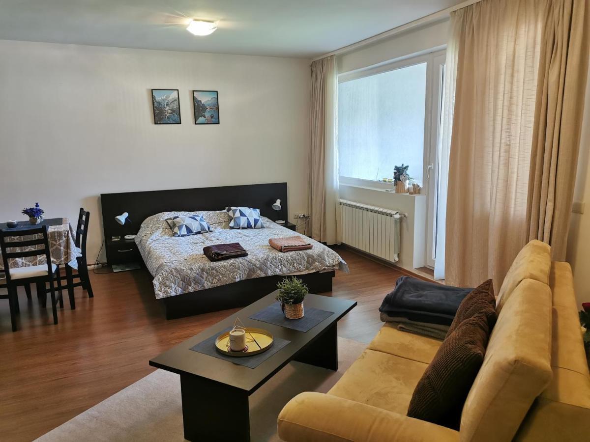 Sunny Studio Apartment - Few Steps From Gondola Банско Экстерьер фото