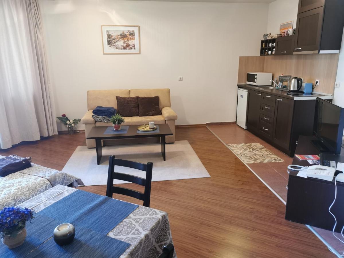 Sunny Studio Apartment - Few Steps From Gondola Банско Экстерьер фото