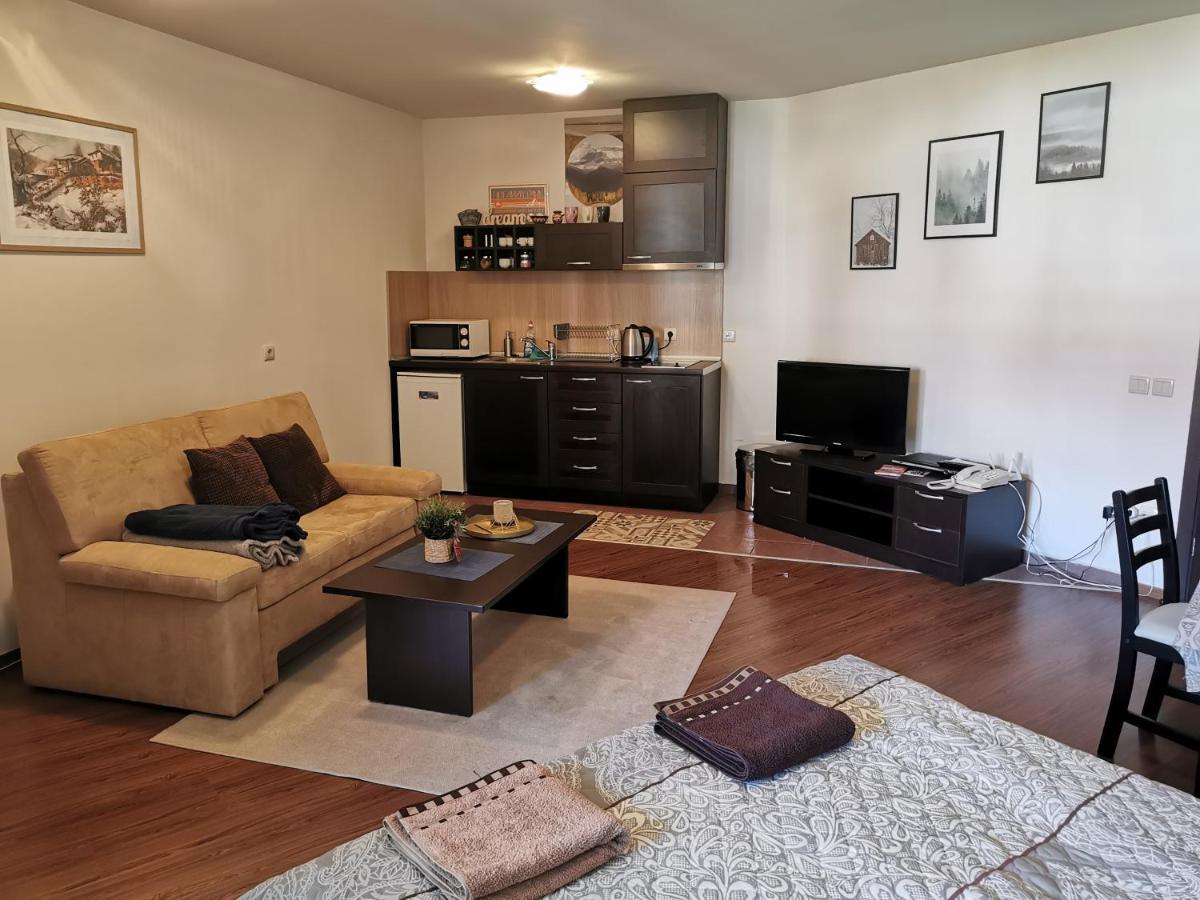 Sunny Studio Apartment - Few Steps From Gondola Банско Экстерьер фото